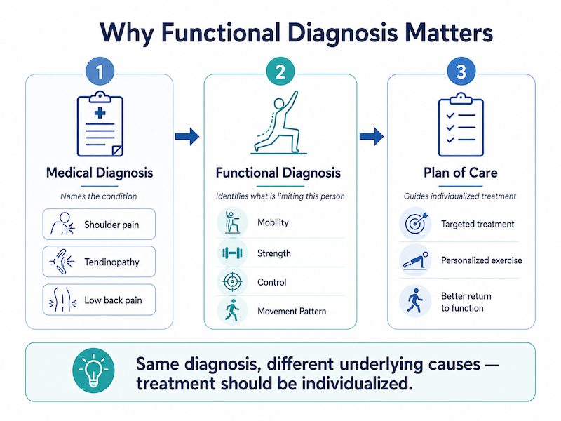Functional Diagnosis system